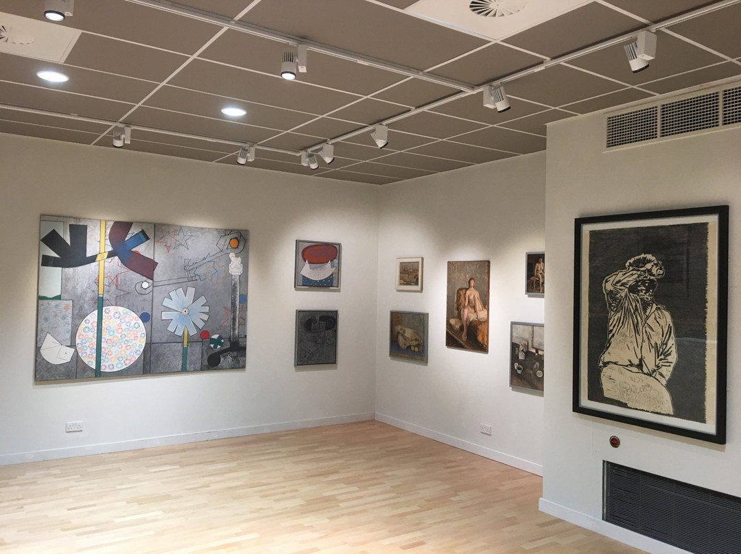 The Young Gallery-索尔兹伯里必去景点