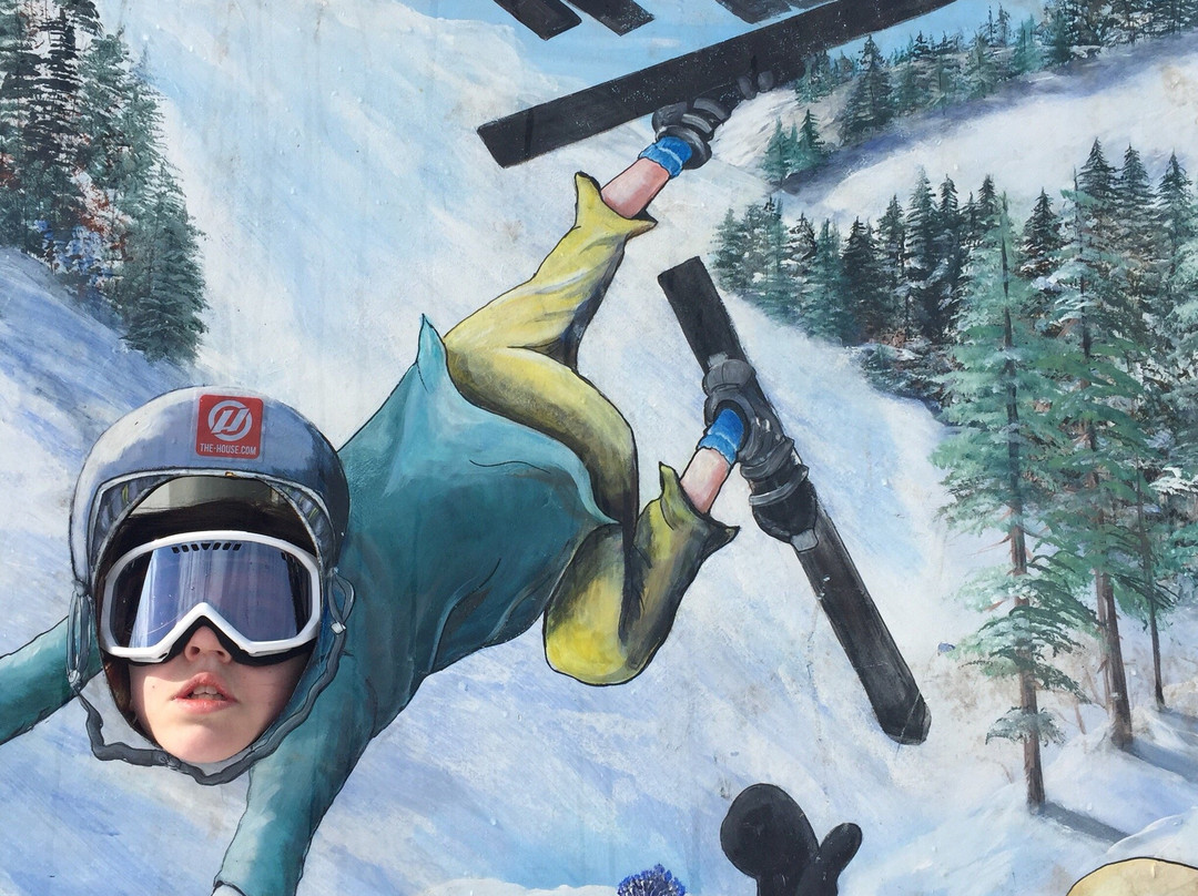 Mount Ski Gull-Nisswa必去景点