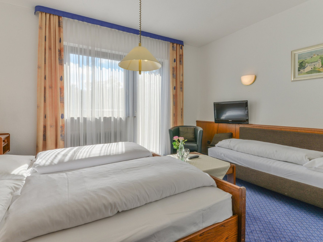 Hotel Zur Mühle主图