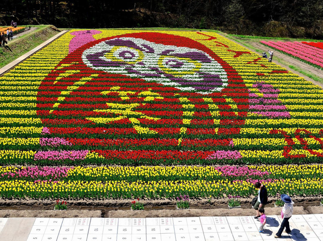 Tanto Flower Park-丰冈市必去景点