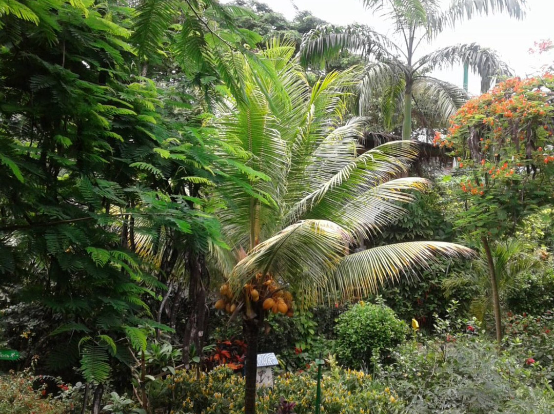 Hosteria Mandala主图