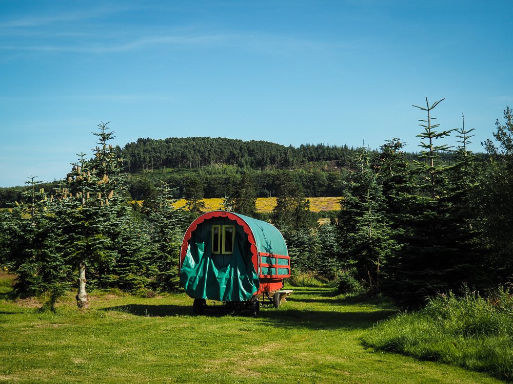 Clissmann Horse Caravans & Glamping