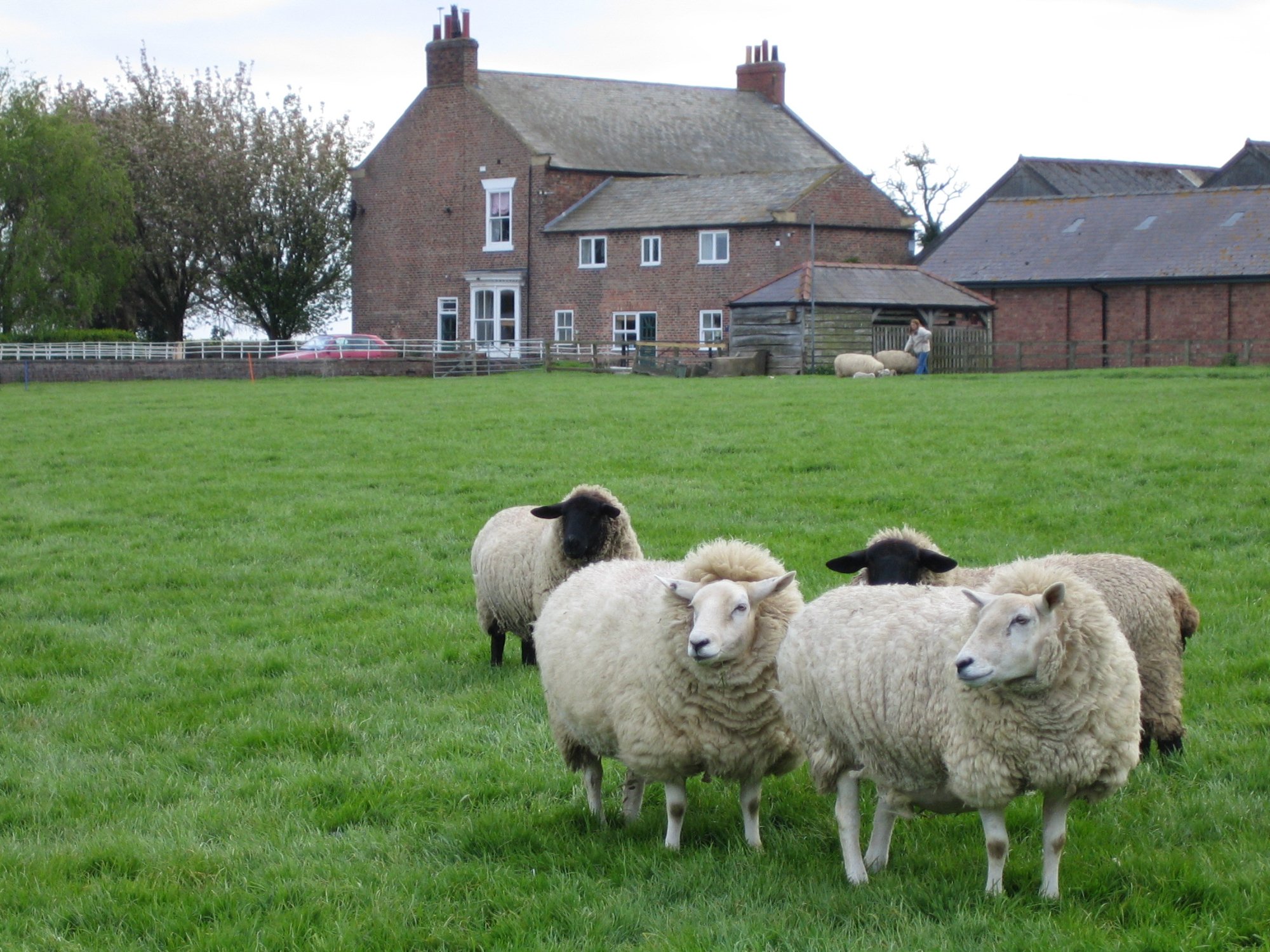 Burton Grange Farmhouse Bed and Breakfast-官方