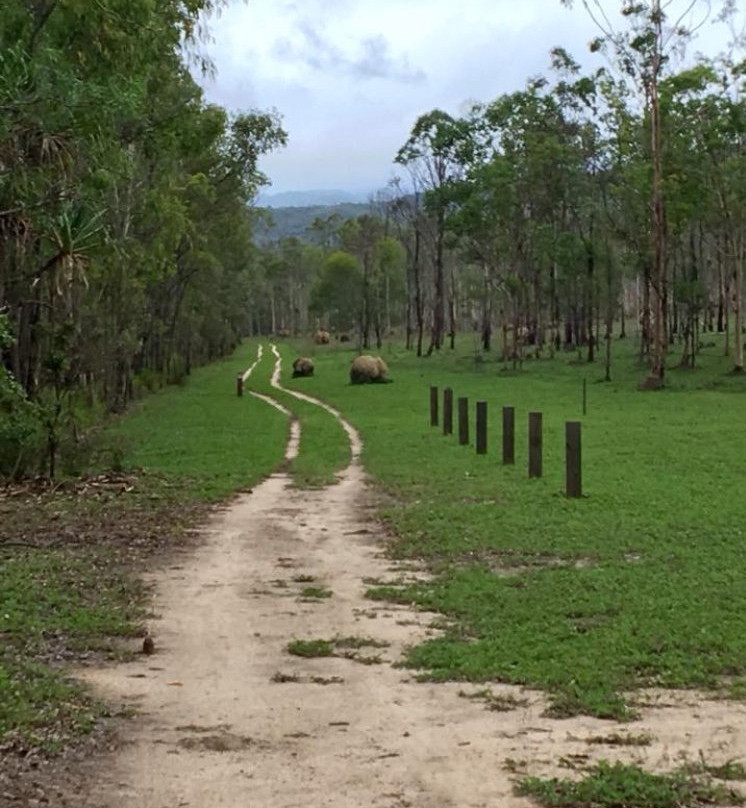 Davies Creek Mountain Bike Park-马里巴必去景点