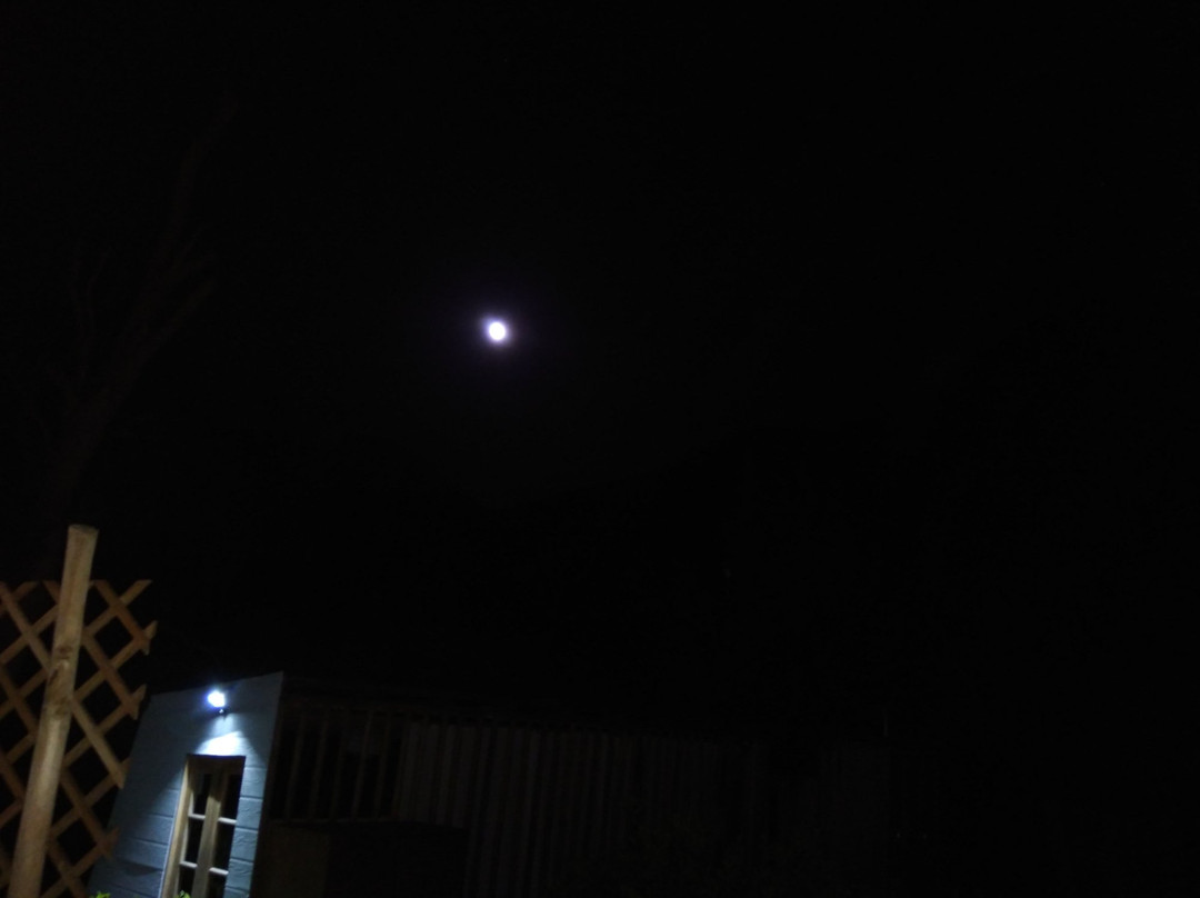 Organica Lodge Spa主图