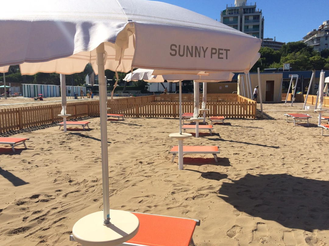 Sunny Pet Ufficio 19景点图片