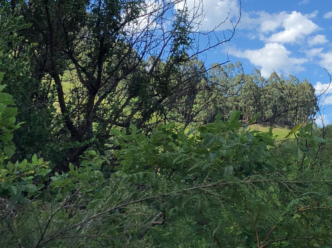 Champagne Sports Resort主图