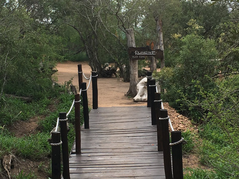 Pungwe Safari Camp主图