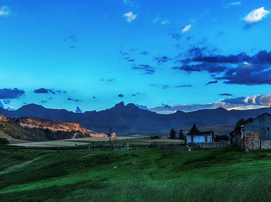 De Molen Farm Clarens主图