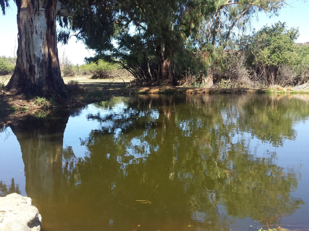 Quaggasfontein Private Game Reserve