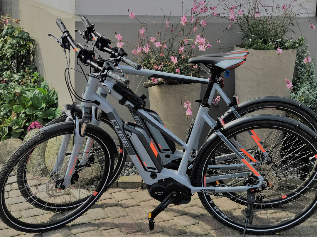 E-Bike & Fahrradverleih Plau am See景点图片