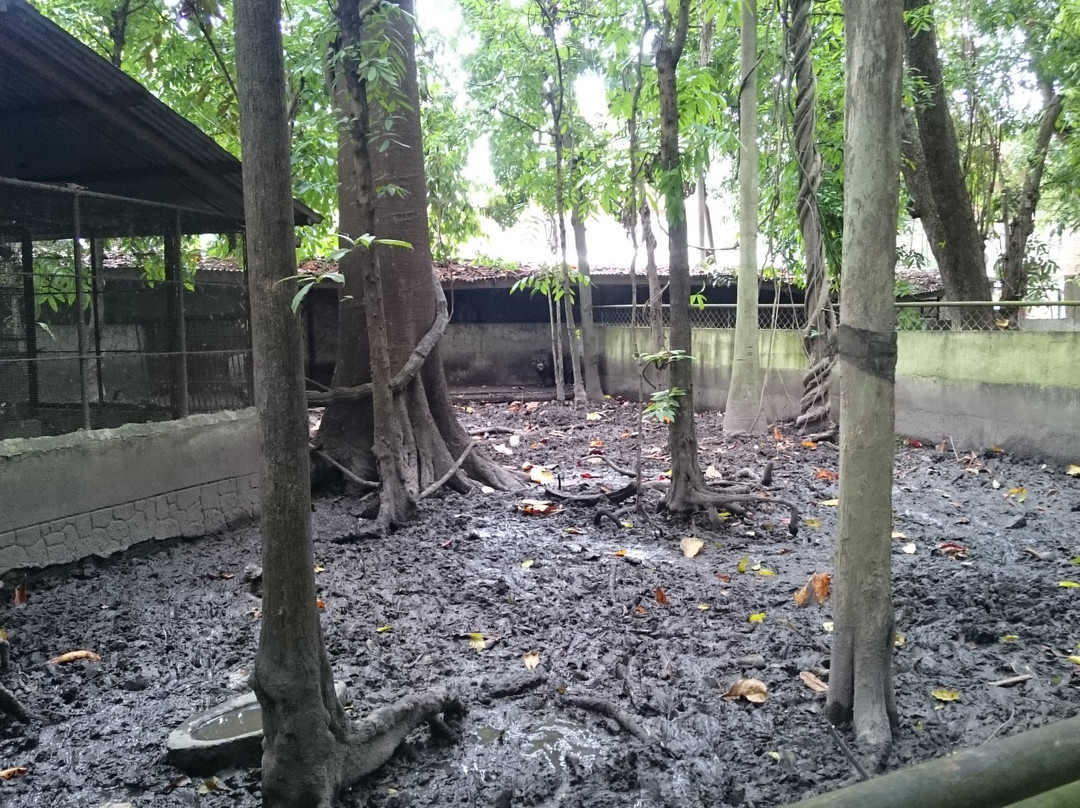 Center for Tropical Studies (CENTROP)-杜马盖地必去景点