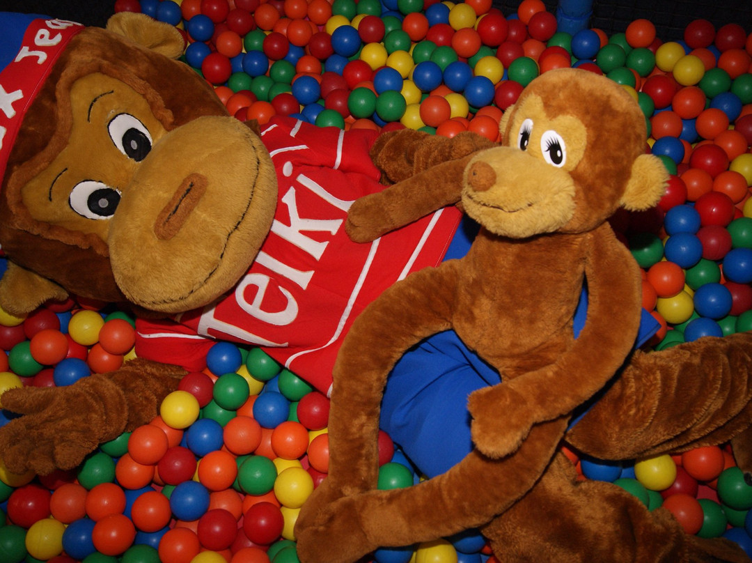 Ile aux Jeux Challans-Challans必去景点