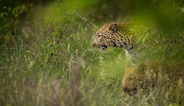 Capture Africa Tours