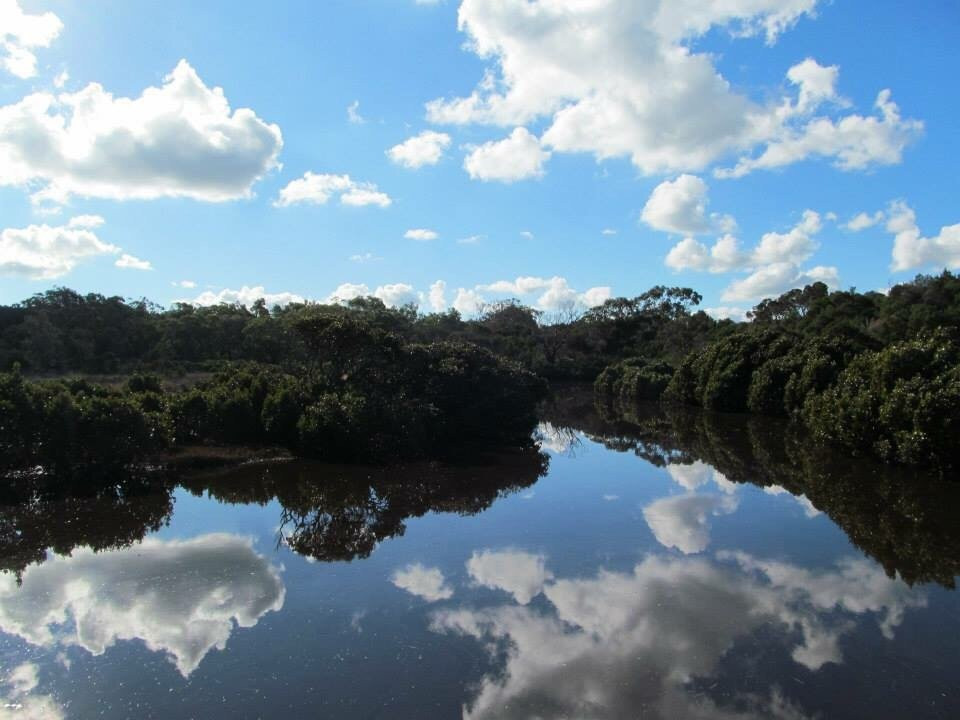 Screw Creek Townsend Bluff Estuary Walk-Inverloch必去景点