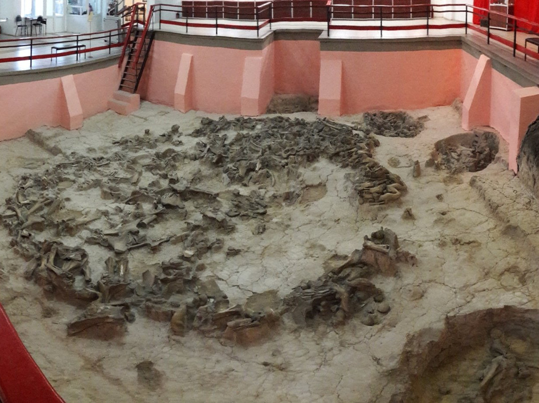Kostenki State Archeological Museum Preserve-Kostenki必去景点