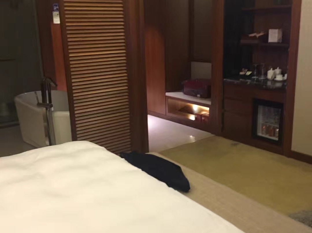 国龙大酒店主图
