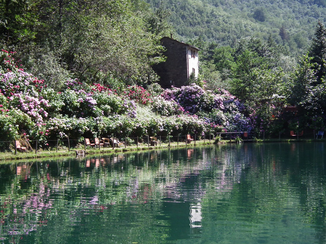 Chiesina-Farne旅游攻略图片