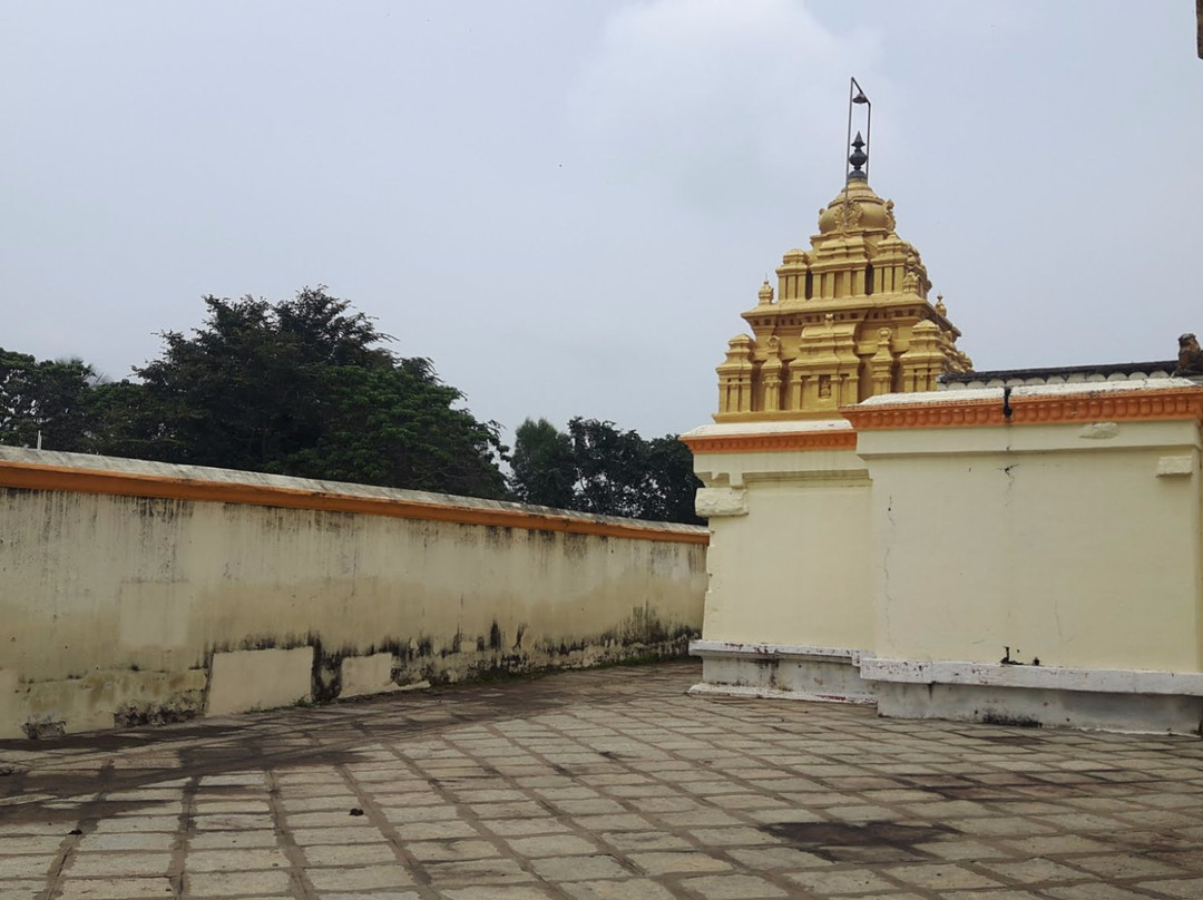 Ranganathaswamy Temple景点图片