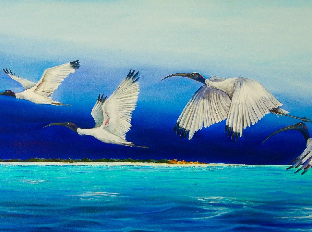 Suzy French Art景点图片