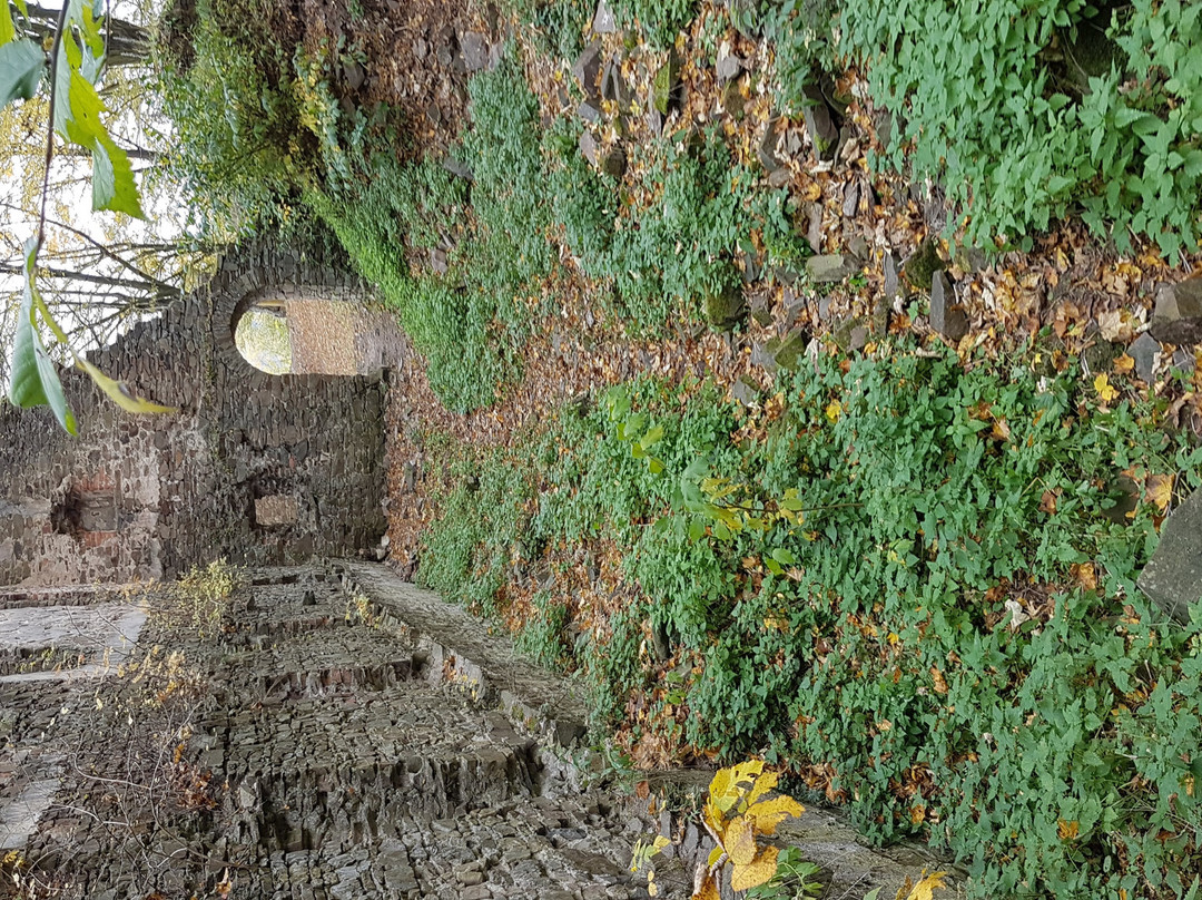 Vikštejn u Radkova Ruin-Opava必去景点