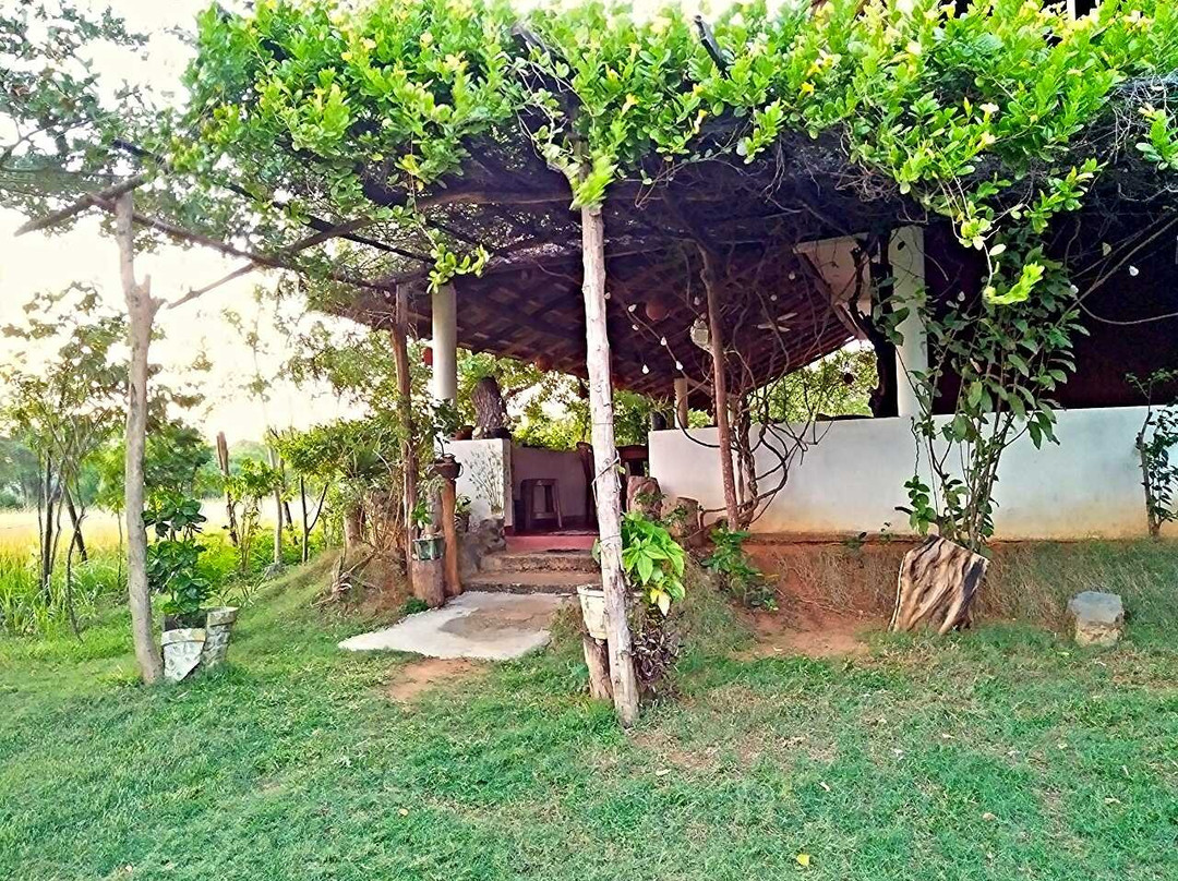 Beralihela酒店住宿-Lake Safari Eco Home