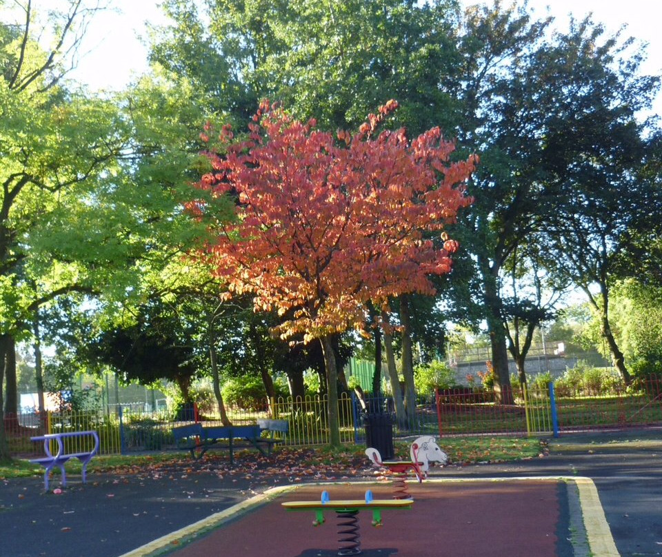 Platt Fields Park-曼彻斯特必去景点