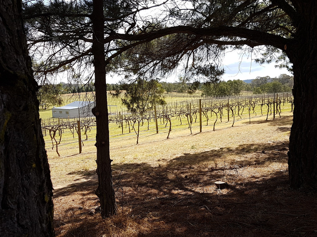 Joadja Vineyard-Berrima必去景点