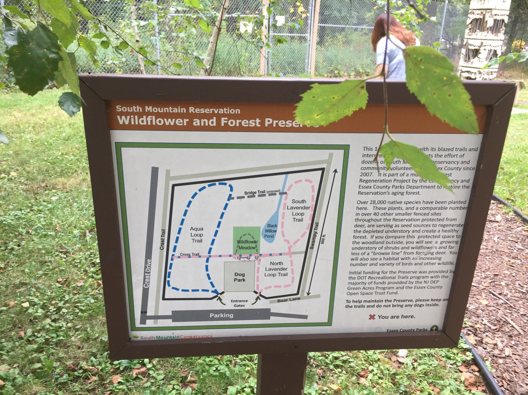 Wildflower Sculpture Park-Maplewood必去景点