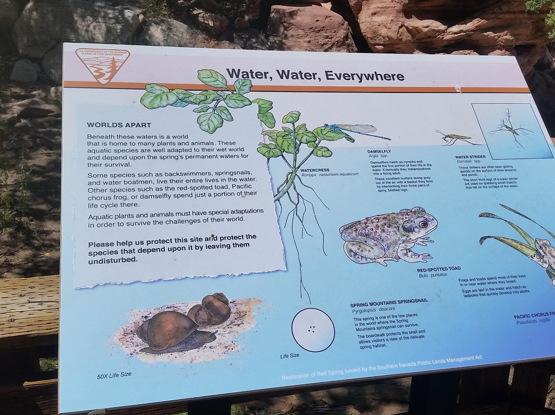 Red Spring Picnic Area-拉斯维加斯必去景点