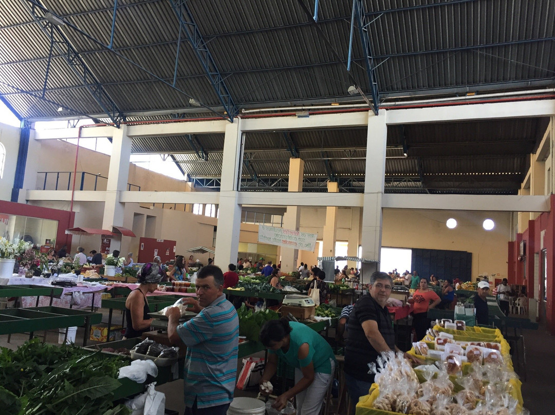 Mercado Municipal景点图片