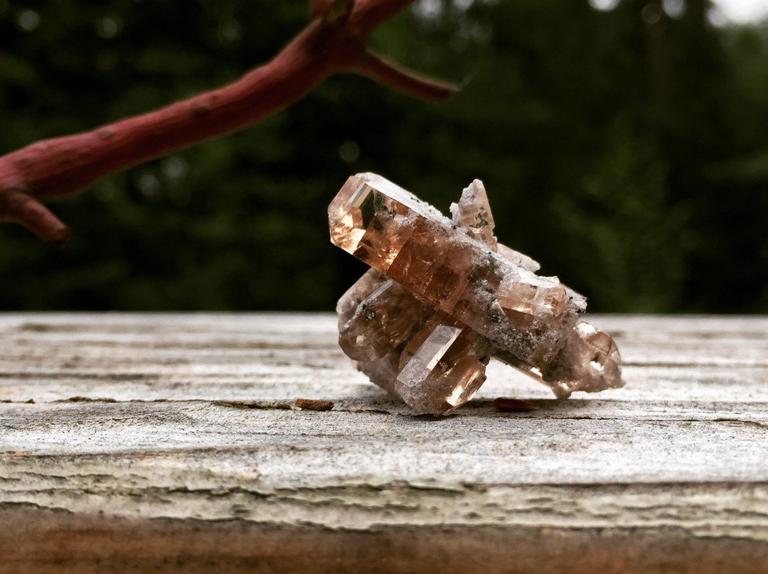 TANDMGems Fine Minerals, Crystals & Fossils景点图片