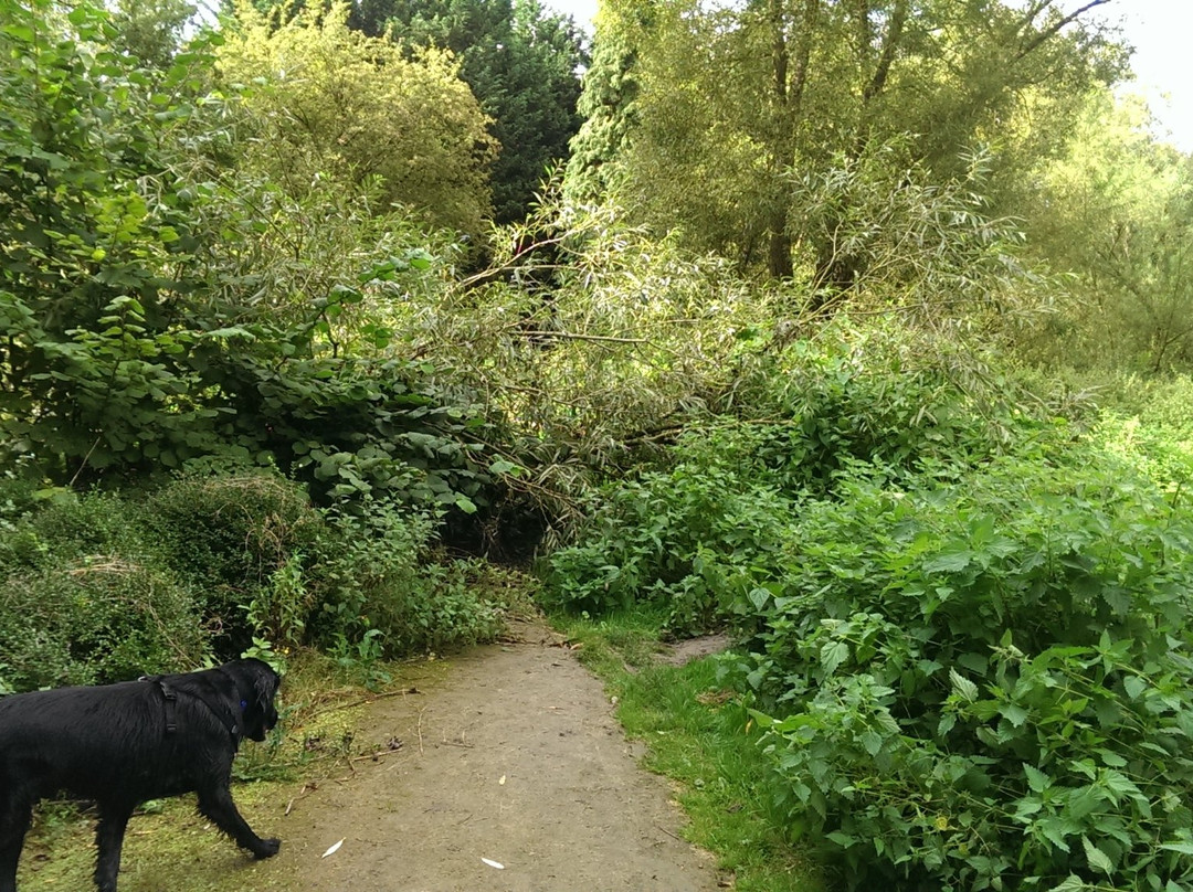Holy Well Walk-Southam必去景点