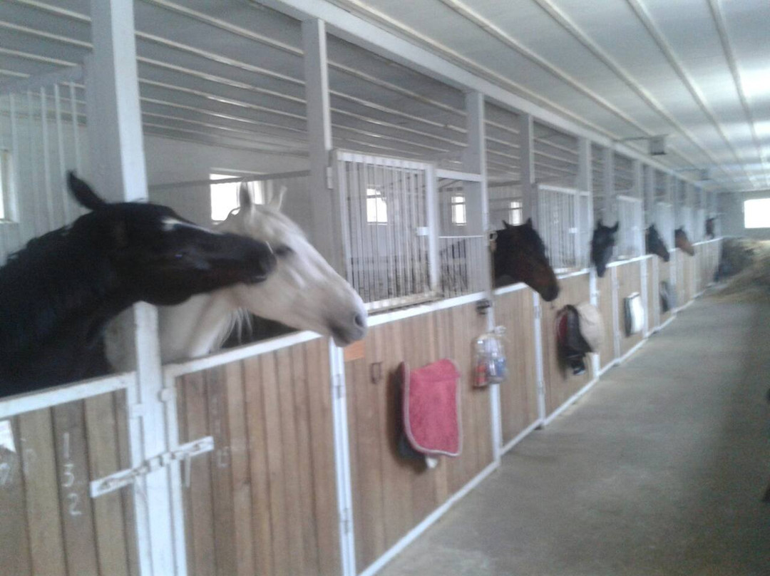 Horseback Yard Sednevskiy-Sedniv必去景点