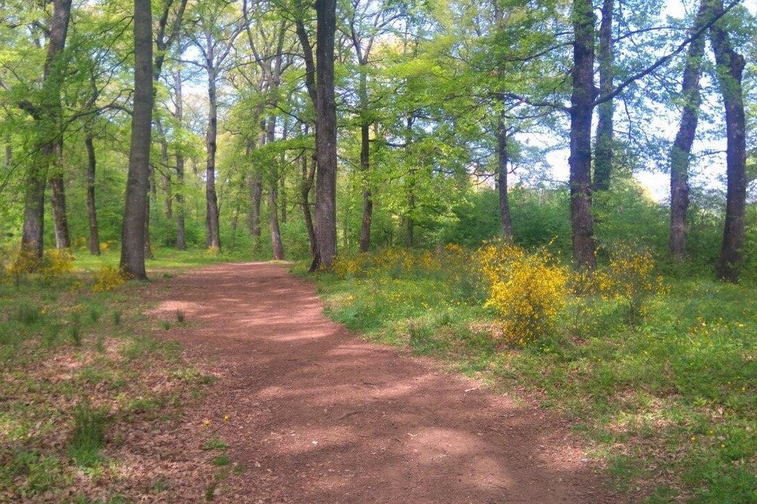 Manziana旅游攻略图片