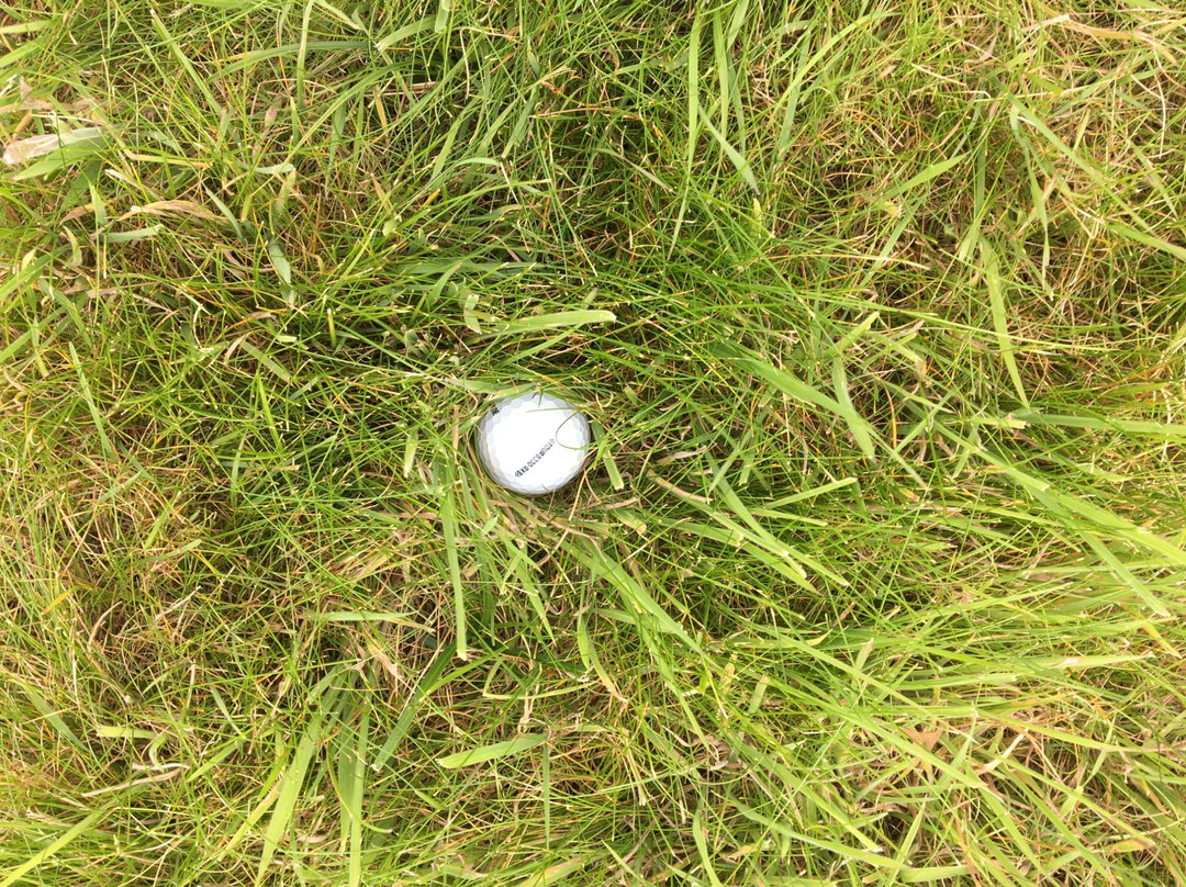 Muirfield - Home of the Honourable Company of Edinburgh Golfers-Gullane必去景点