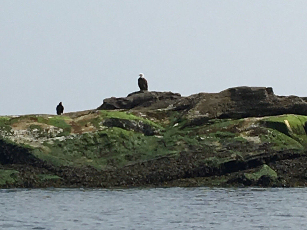Kayaking Gulf Islands-Mayne Island必去景点