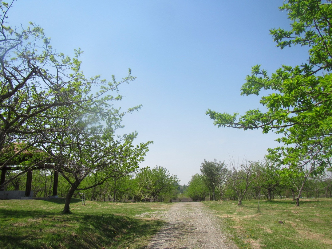 Sumomo no Sato-更别村必去景点