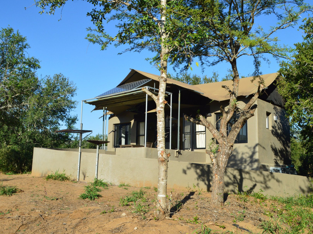 Nselwini Bush Lodge