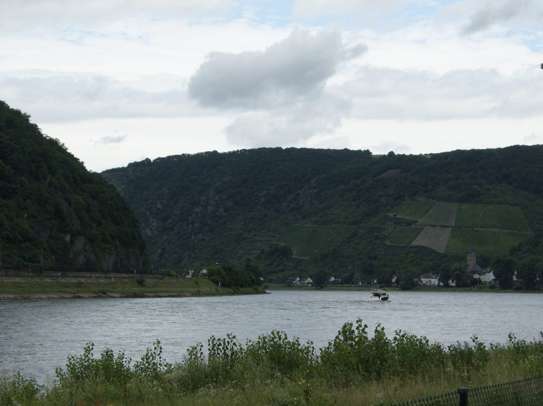 Camping Loreleystadt