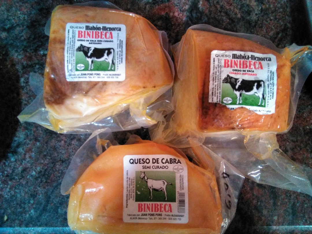 Quesos Binibeca-阿拉约尔必去景点