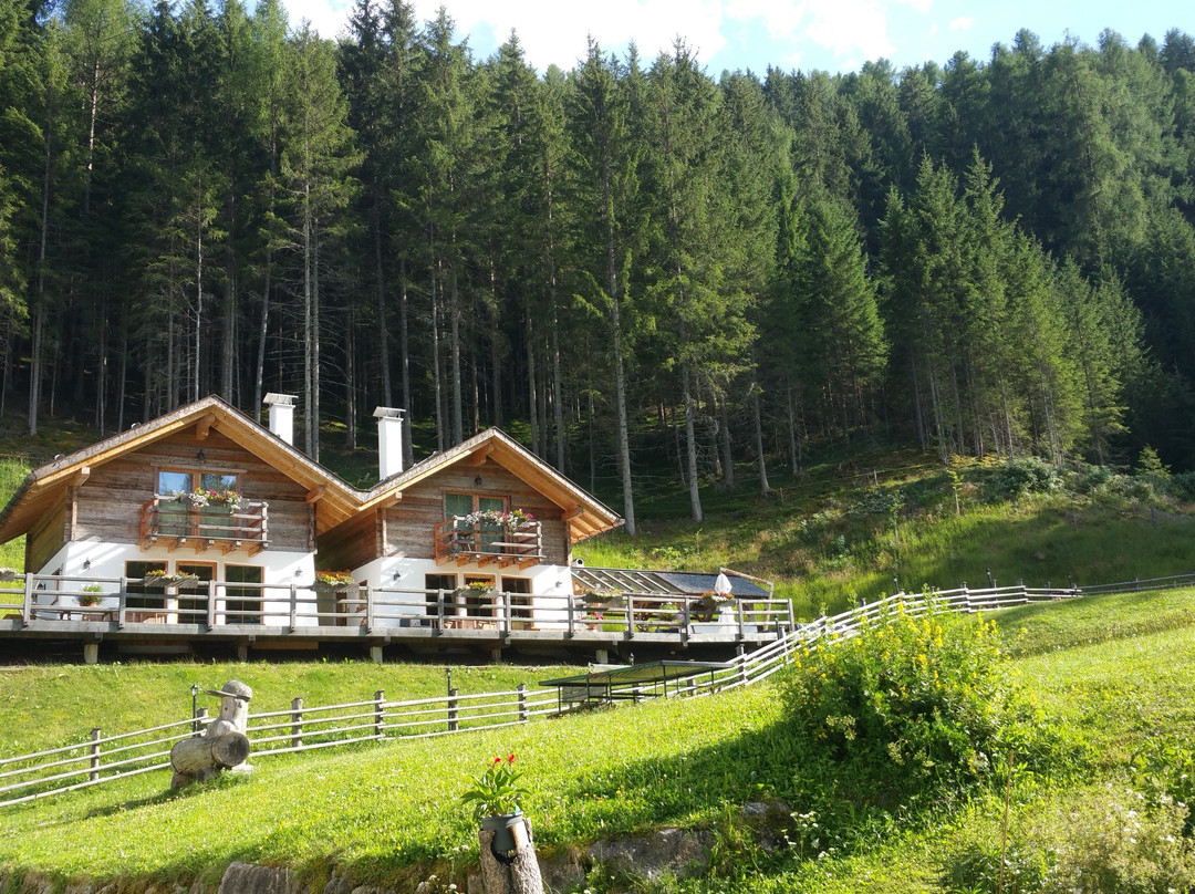 Sorafurcia酒店住宿-Hotel Bad Bergfall