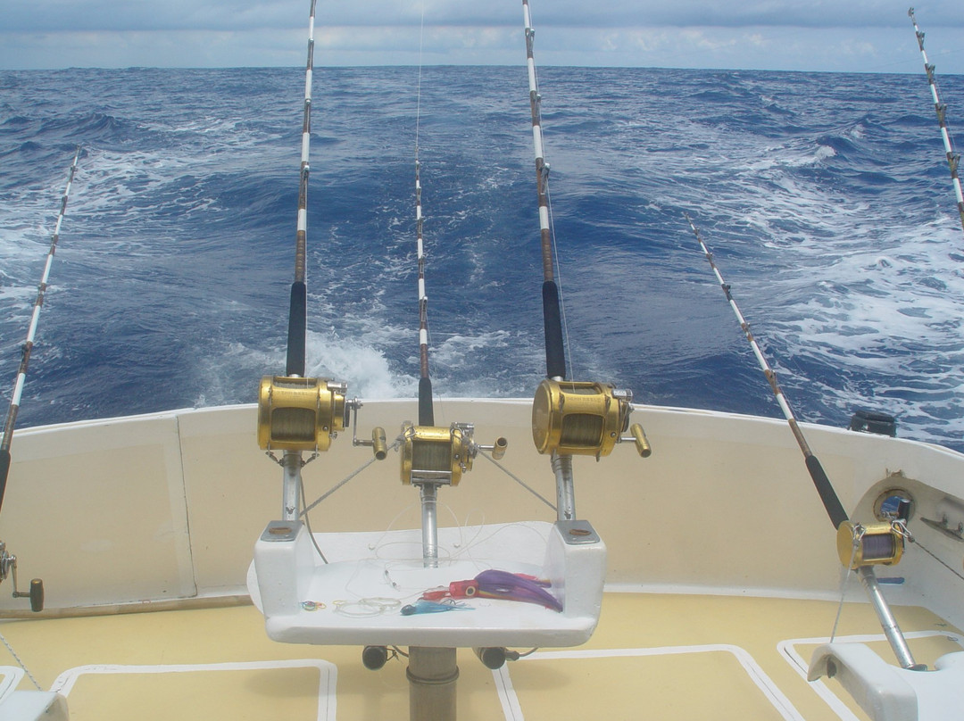 Horizon Fishing-大湾必去景点