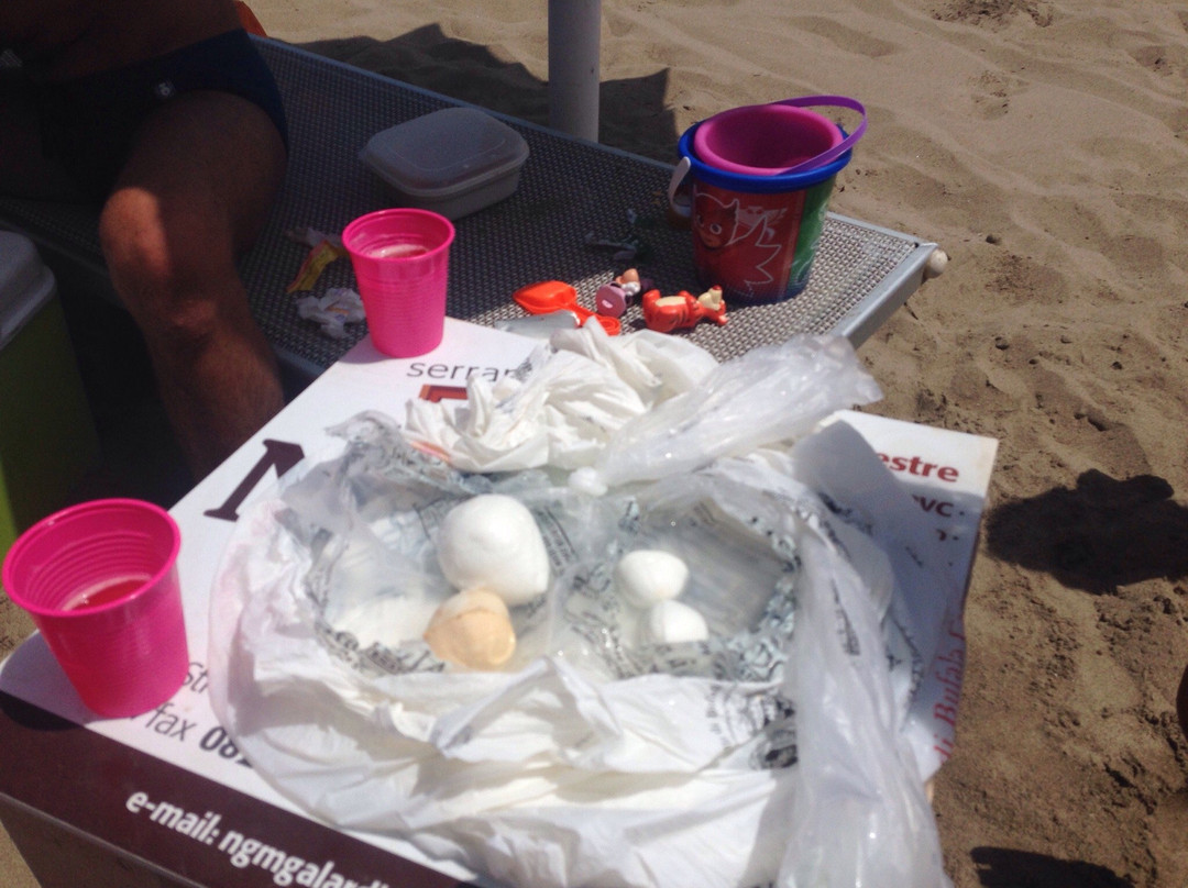 Bar Tabacchi Lido Lago-巴蒂帕利亚必去景点