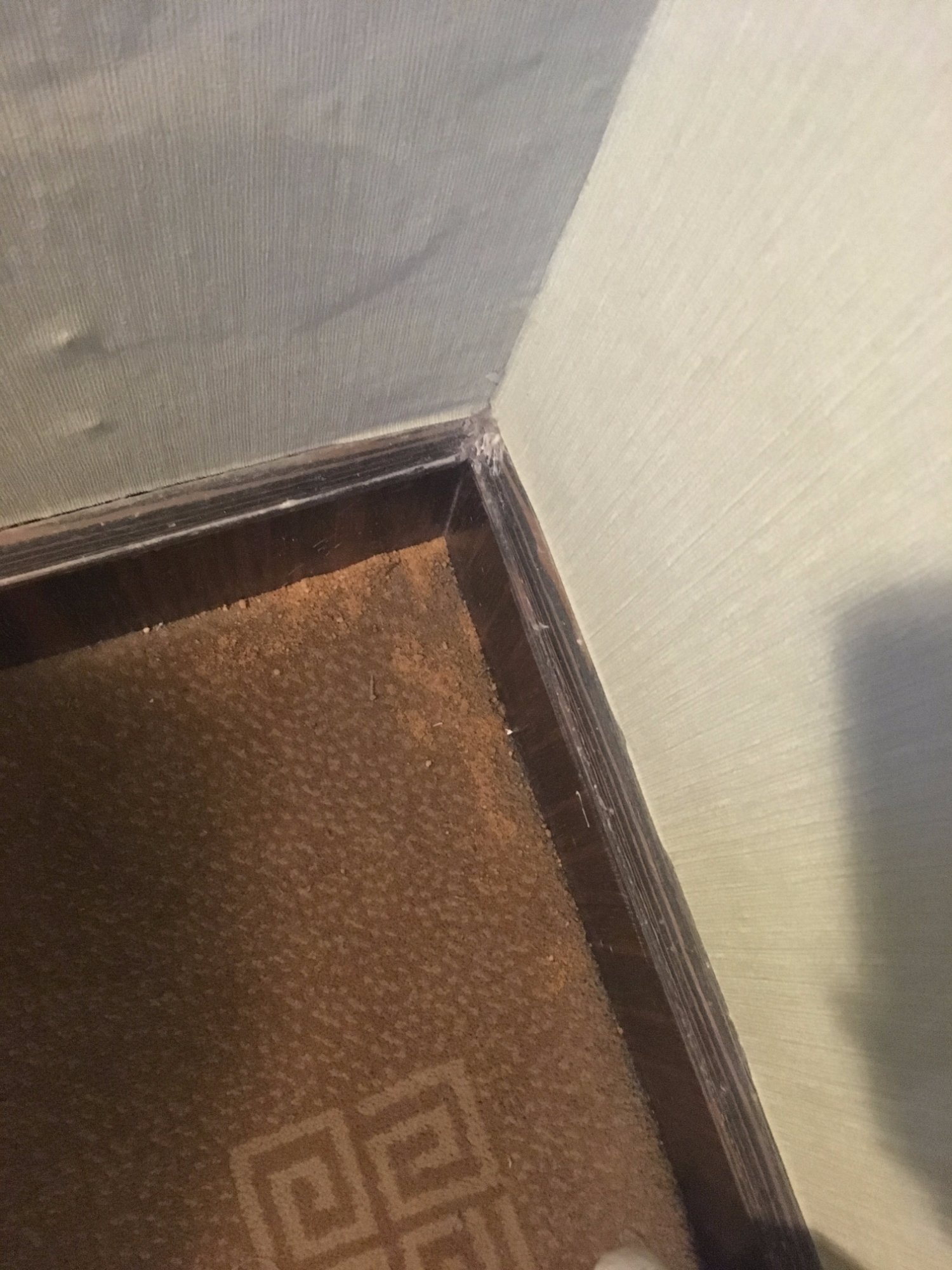 康福瑞假日酒店(北京学院南路店)-官方