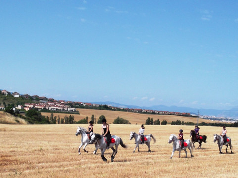 Club Hipico Zolina-Salinas de Pamplona必去景点