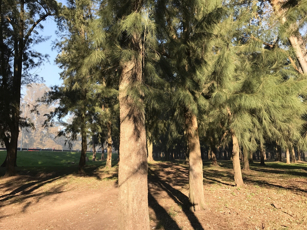 Bosques de Ezeiza景点图片