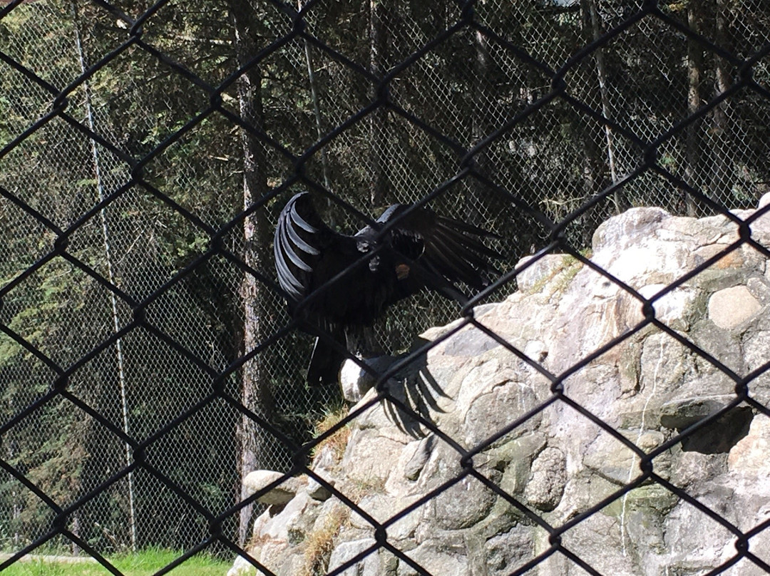 Mirador Taraccasa-Abancay必去景点