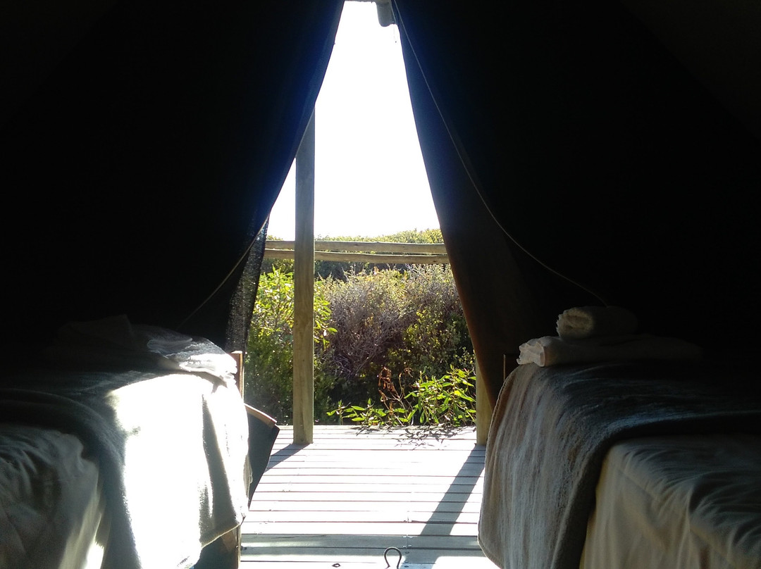Slangkop Tented Camp