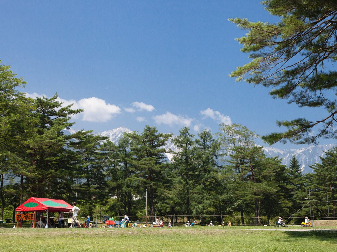 Hakuba Green Sports Forest景点图片